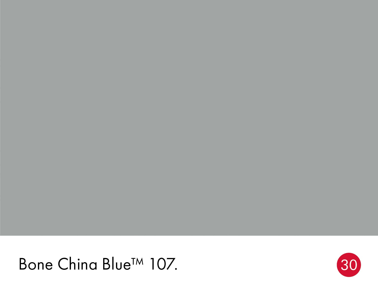 Bone China Blue