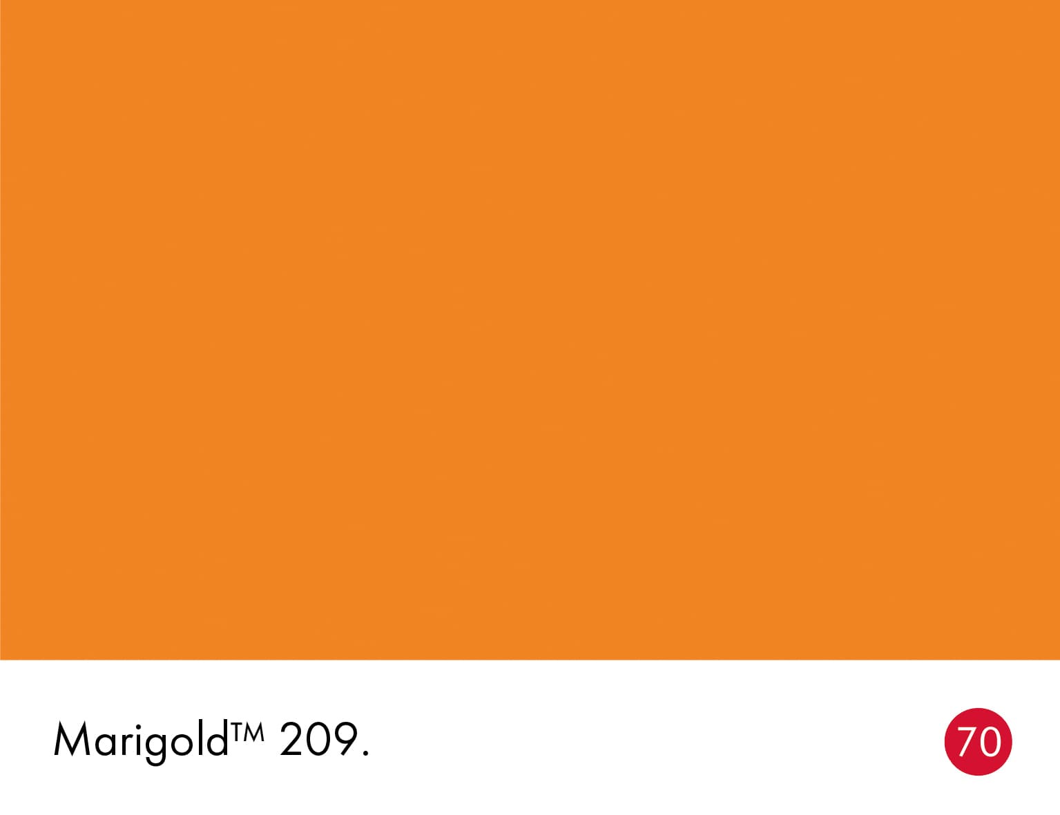 Marigold