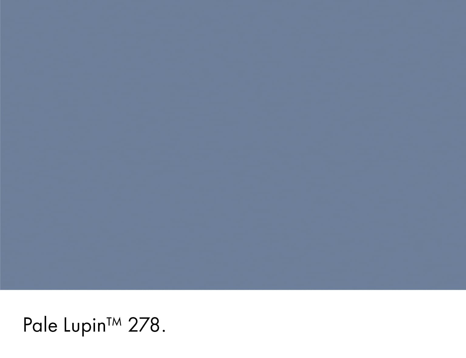 Pale Lupin