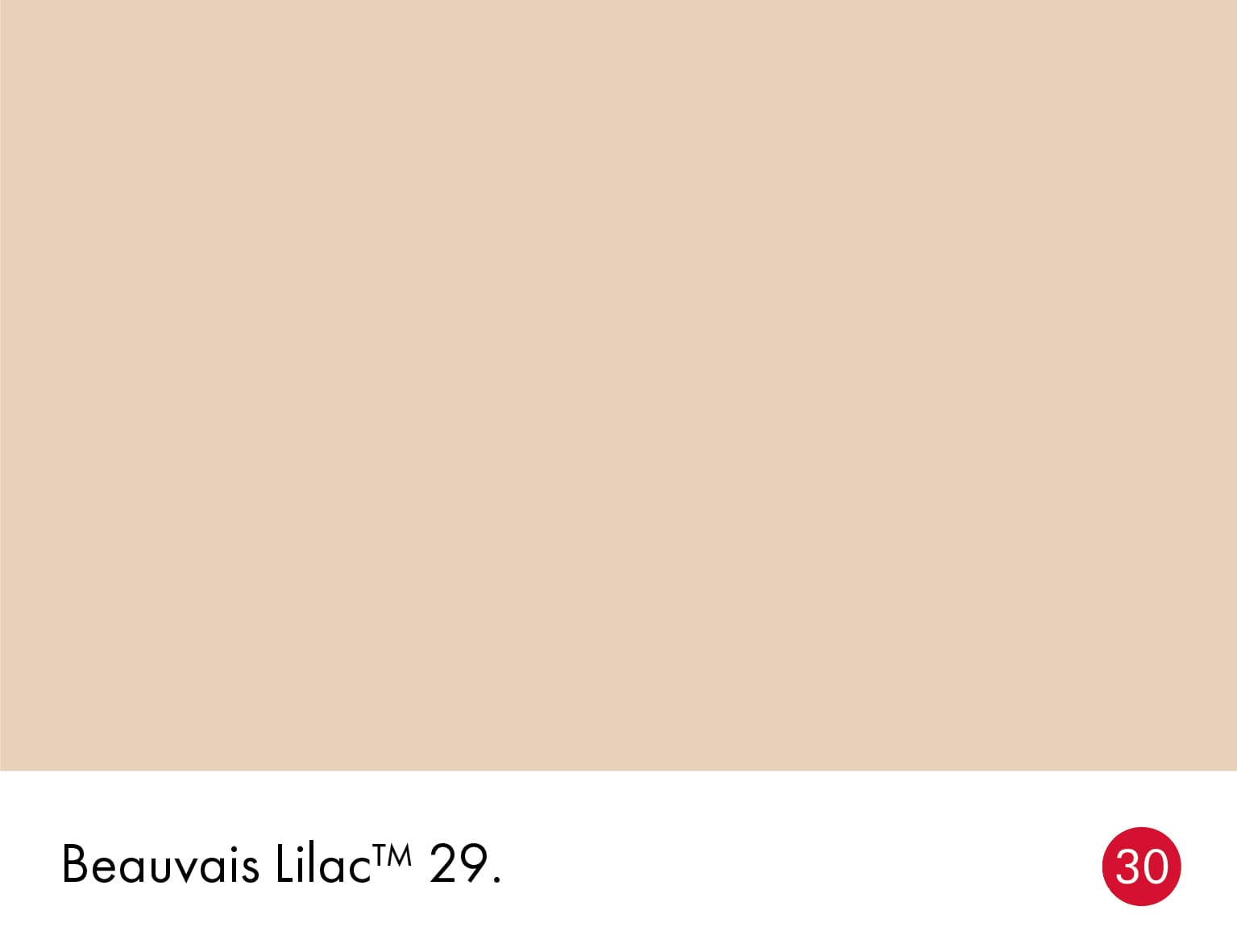 Beauvais Lilac