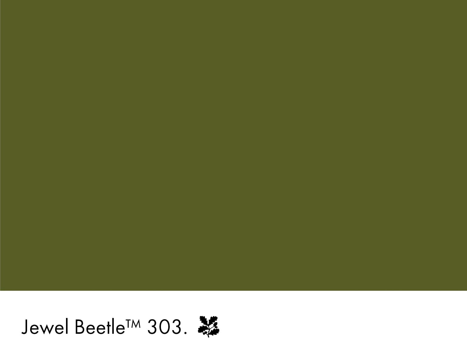 Jewel Beetle