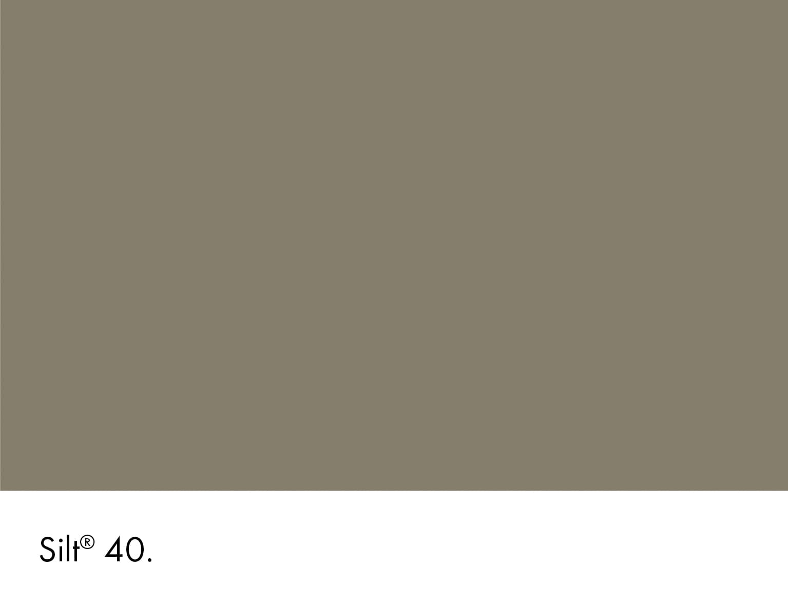 Silt