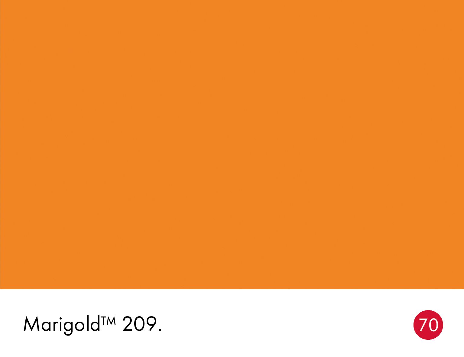 Marigold