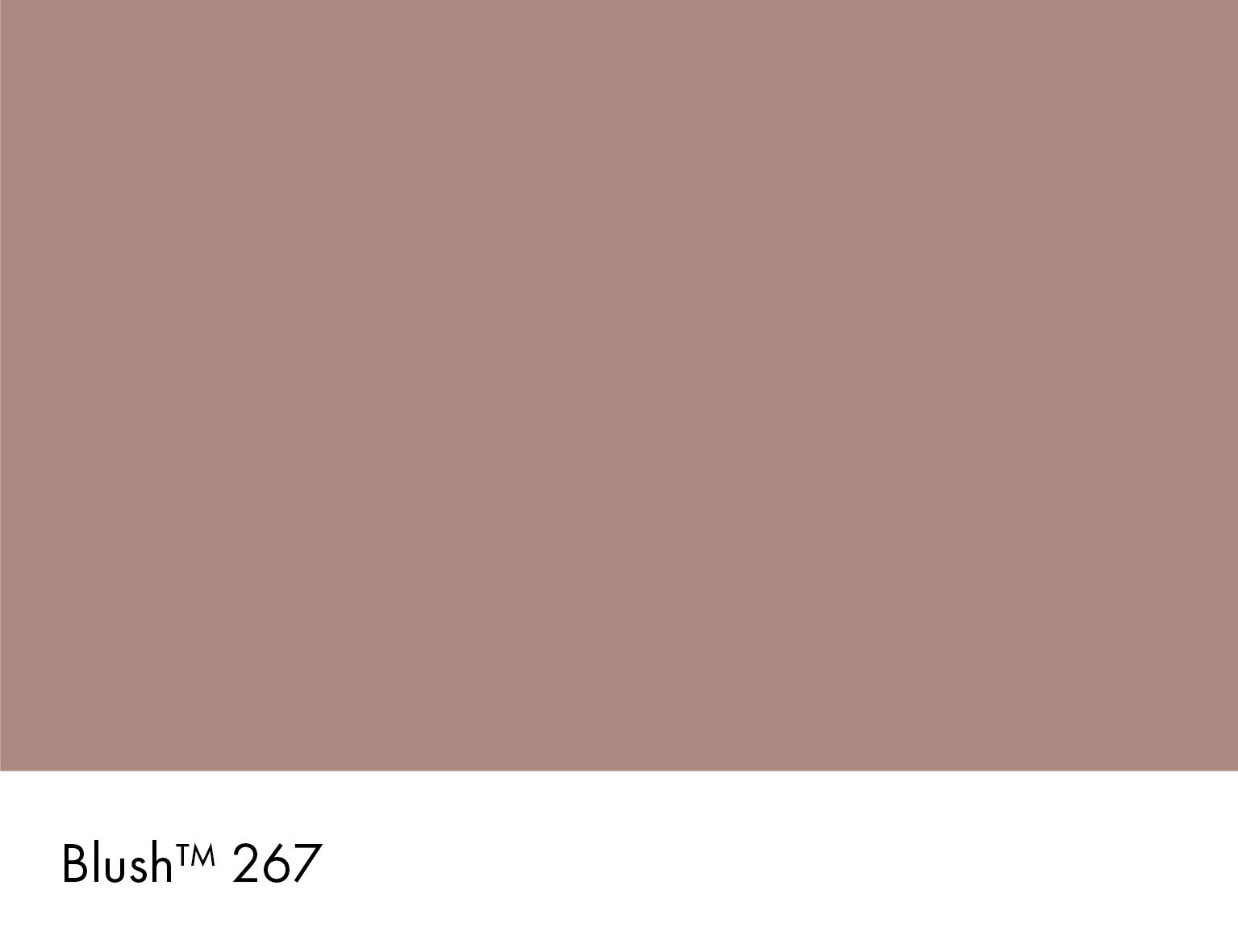 Blush
