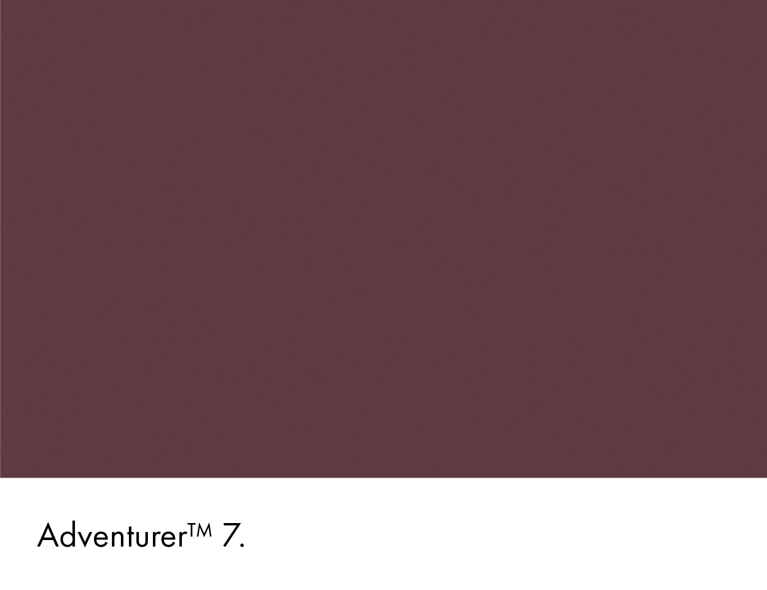 Adventurer